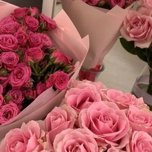 Have a beautiful day 🌸